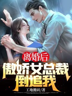 【抖音】热书离婚后，傲娇女总裁倒追我全本章节阅读