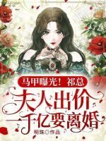 《马甲曝光！祁总，夫人出价一千亿要离婚》全章节小说_苏砚祁湛全文阅读