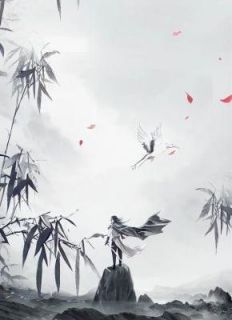 《仙圈师妹》全章节小说_唐颖宋雨然全文阅读