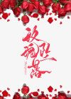 【新书】《玫瑰坠落》主角陆迟姜姜全文全章节小说阅读
