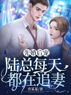 完结《先婚后宠：陆总每天都在追妻》夏时韵陆妄承小说全章节目录阅读