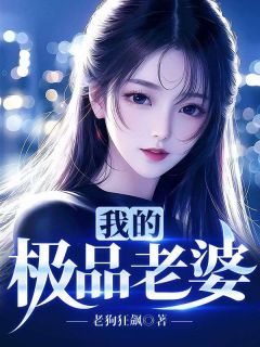 李不凡苏倾城by我的极品老婆完整版 我的极品老婆小说全集在线阅读