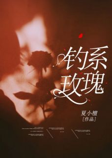 《何皎皎曲东黎》小说完结版在线阅读  钓系玫瑰小说阅读