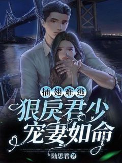 《乔宝儿君之牧》小说完结版在线试读 插翅难逃：狠戾君少宠妻如命小说阅读