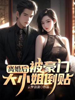 《离婚后，被豪门大小姐倒贴》小说全文免费试读 叶尘韩清雪第6章小说阅读