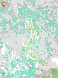 《池意浓周其右》小说全文在线阅读 《池意浓周其右》最新章节列表