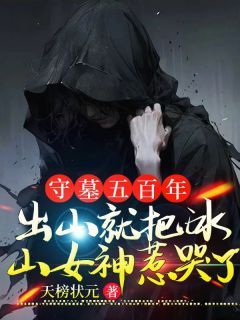 《守墓五百年，出山就把冰山女神惹哭了》已完结版全文章节阅读 叶枫陆紫烟小说