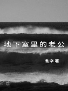 《地下室里的老公》大结局精彩试读 《地下室里的老公》最新章节目录