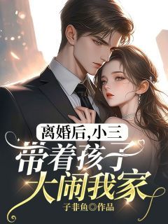 《离婚后，小三带着孩子大闹我家》小说全文精彩阅读 杨凌刘柏王璐小说阅读