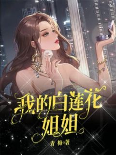 《宋澜宋姗肖毅》小说大结局免费试读 我的白莲花姐姐小说全文