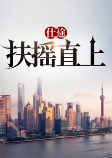 《仕途：扶摇直上》苏青云赵雅茹全文免费试读