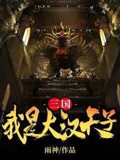 三国：我是大汉天子全文精彩章节在线阅读（刘冯赵云）