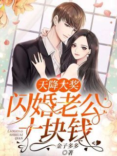 《顾安然沈御风》天降大奖：闪婚老公十块钱大结局在线阅读