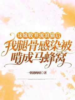 《静静安安》小说章节目录在线试读 主角：静静安安 1