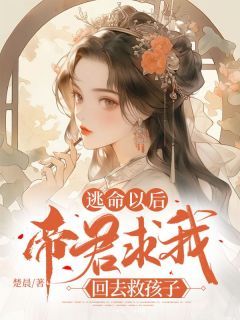 《司临云栖》完整版在线阅读（主角逃命以后，帝君求我回去救孩子）