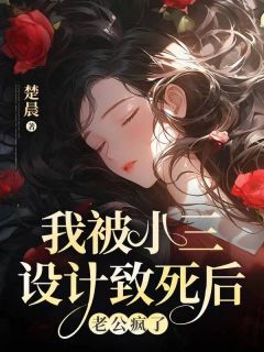 《肖涵孙彦君段伊伊》小说全文精彩阅读 我被小三设计致死后，老公疯了小说全文