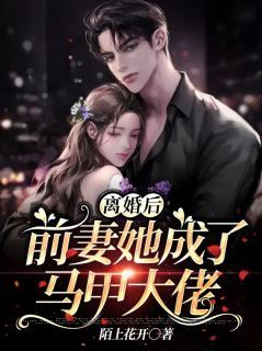 《离婚后，前妻她成了马甲大佬》小说全文在线试读 《离婚后，前妻她成了马甲大佬》最新章节目录