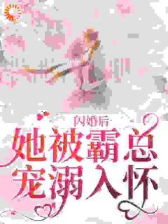 《闪婚后，她被霸总宠溺入怀》小说完结版精彩阅读 苏昭棠周凌靖小说阅读