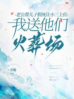 《田悦昊乐》小说章节列表在线试读 老公帮儿子假死让小三上位，我送他们火葬场小说全文