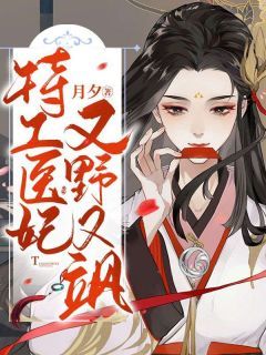 完整版《特工医妃又野又飒》林殊锦陆诏胤全文免费阅读