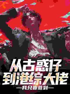 吴白王宝完整版 从古惑仔到港综大佬，我只靠签到全章节阅读