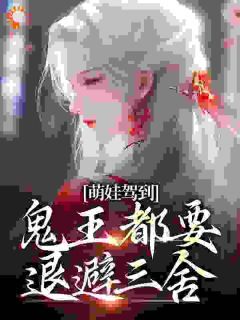 《萌娃为了找我，玩歪惊悚世界》第13章小说全文在线阅读 《萌娃为了找我，玩歪惊悚世界》最新章节目录