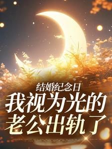 《尹禾月宋屿舟》小说完结版精彩阅读 结婚纪念日，我视为光的老公出轨了小说阅读