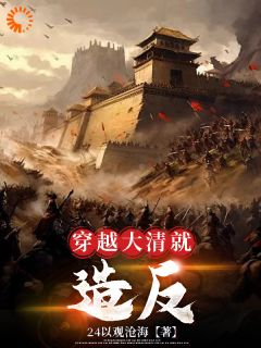 《穿越大清就造反》小说全文免费阅读 《穿越大清就造反》最新章节目录