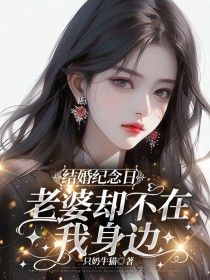 结婚纪念日，老婆却不在我身边免费阅读(沈涛曲朵全本资源) 无广告