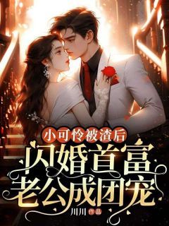 精品热文《小可怜被渣后，闪婚首富老公成团宠》宋晴韩洵小说全文精彩章节免费试读无删减