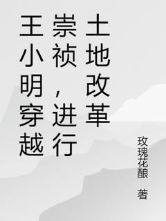 《王小明穿越崇祯，进行土地改革》小说全文在线阅读 王小明崇祯帝小说全文